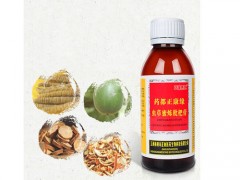 蛹虫草蜜炼枇杷膏价格