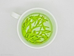 安吉白茶的功效与作用