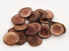 鹿茸的食用方法
