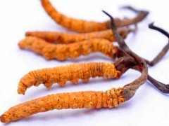 虫草多少钱一斤