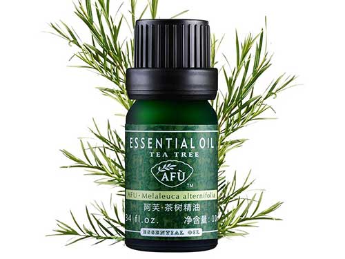 茶树精油可以滴内裤吗