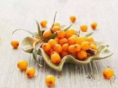 决明子沙棘价格
