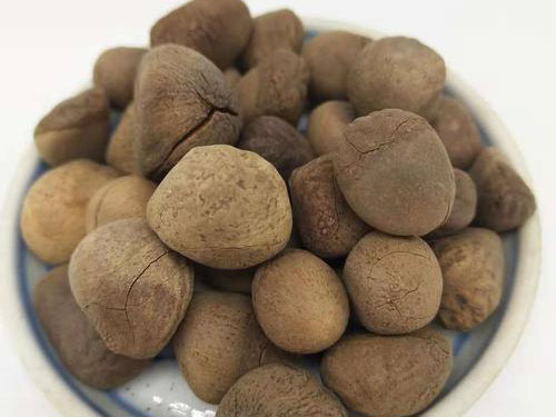 大风子油的功效与作用