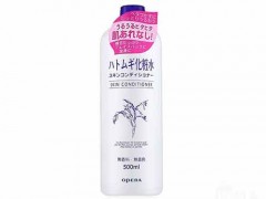 娥佩兰薏仁水天天敷吗