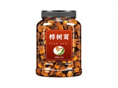黑金桦树茸茶到底好不好