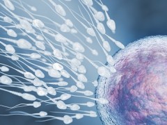 提高精子活力的秘方 介绍4个中药偏方