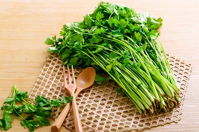 image 香菜