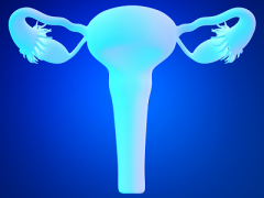保养子宫的最好方法 子宫保养有五个绝招