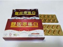 基因睾蛋白是什么