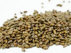 降三高喝什么茶最好 降三高的十种最佳茶