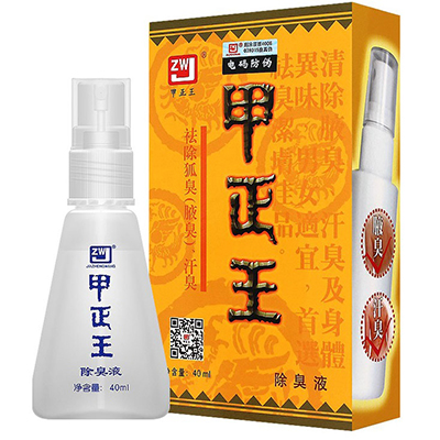image 甲正王