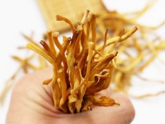 能下奶的蔬菜有哪些 八种蔬菜下奶见效快