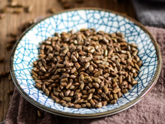 决明子茶的价格多少钱 详解决明子茶作用和价格