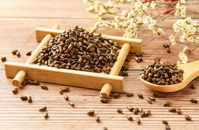 决明子茶