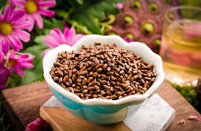 决明子茶