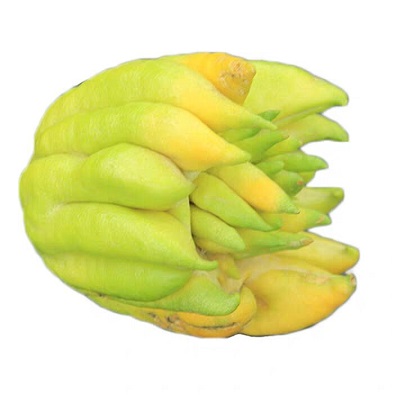 佛手