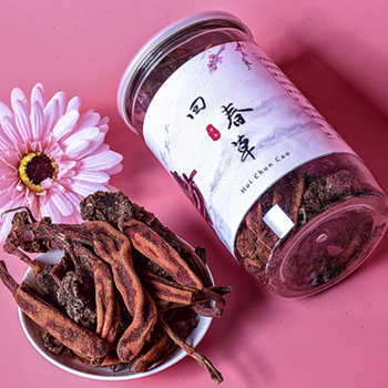 回春草