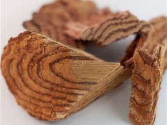 五层龙的功效与作用 介绍四大“神奇”功效