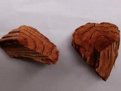 五层龙的降糖原理 揭秘五层龙木降糖真相