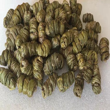 铁皮石斛