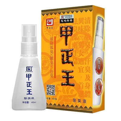 甲正王