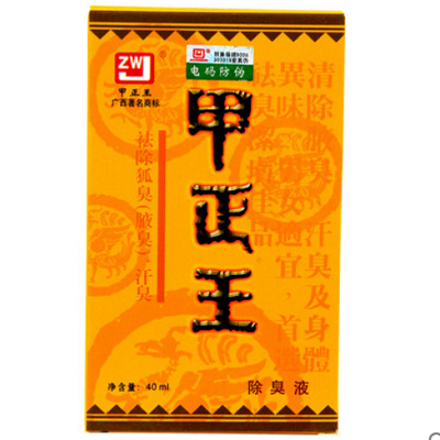 甲正王