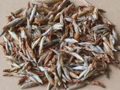 老鹰茶