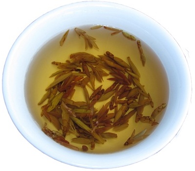 老鹰茶