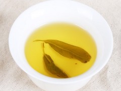 老鹰茶的功效和作用和图片 介绍老鹰茶三大功效和图片