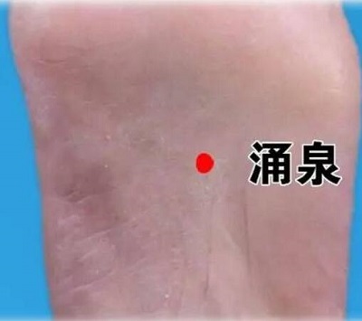 三伏贴位置示意图