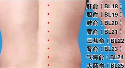 三伏贴位置示意图