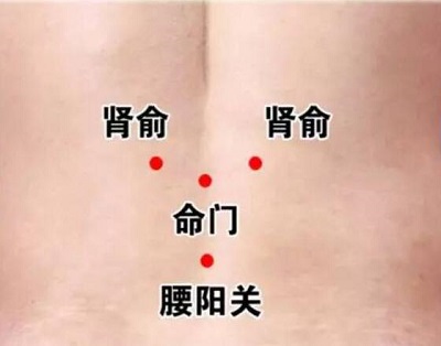 三伏贴位置示意图
