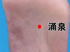 三伏贴位置示意图 让三伏贴的使用更简单