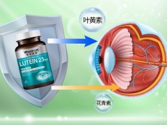 明目叶黄素价格多少钱 介绍明目叶黄素市场价格
