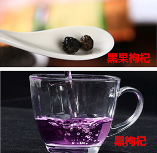 黑果枸杞与黑枸杞