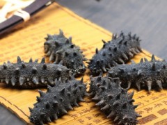 海参的功效与作用吃法 介绍海参的5种功效和吃法
