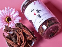 回春草价格是多少 分析回春草价格与作用