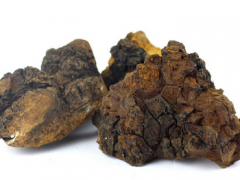 白桦茸多少钱一斤 分析白桦茸的价格与行情