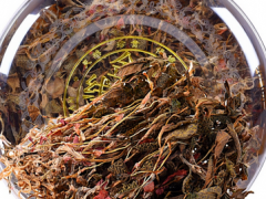 金线莲的功效与作用有哪些 讲解金线莲的功效与用法