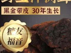 桦树茸怎么泡水喝 桦树茸泡水的功效