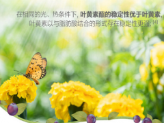 蓝莓叶黄素的作用与功效  蓝莓叶黄素的三大神奇功效