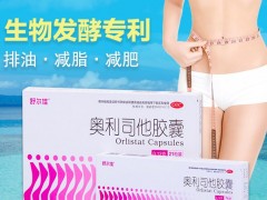 奥利司他和左旋肉碱哪个好 对比减肥原理选择合适产品