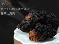 桦树茸的食用方法有哪些 介绍桦树茸的3个常见吃法