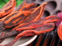 回春草泡水喝的副作用 回春草怎么吃副作用小