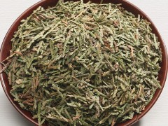 侧柏叶治疗白发的偏方是什么 白头发变黑竟如此简单