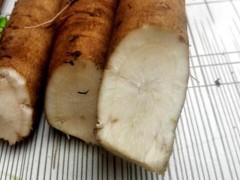 牛蒡根的功效与作用 牛蒡根的三大功效和作用要知道