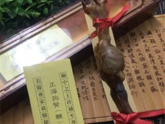 海狗肾的功效与作用 讲解海狗肾的四大功效