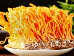 虫草花怎么辨别 给你选购虫草花的法宝