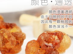 过量服用桃胶会导致什么问题 过量使用桃胶小心肠道不适