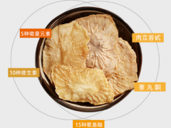 哪里的肉苁蓉最好 购买时需注意什么问题